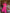 Sally Maxi Dress Cerise