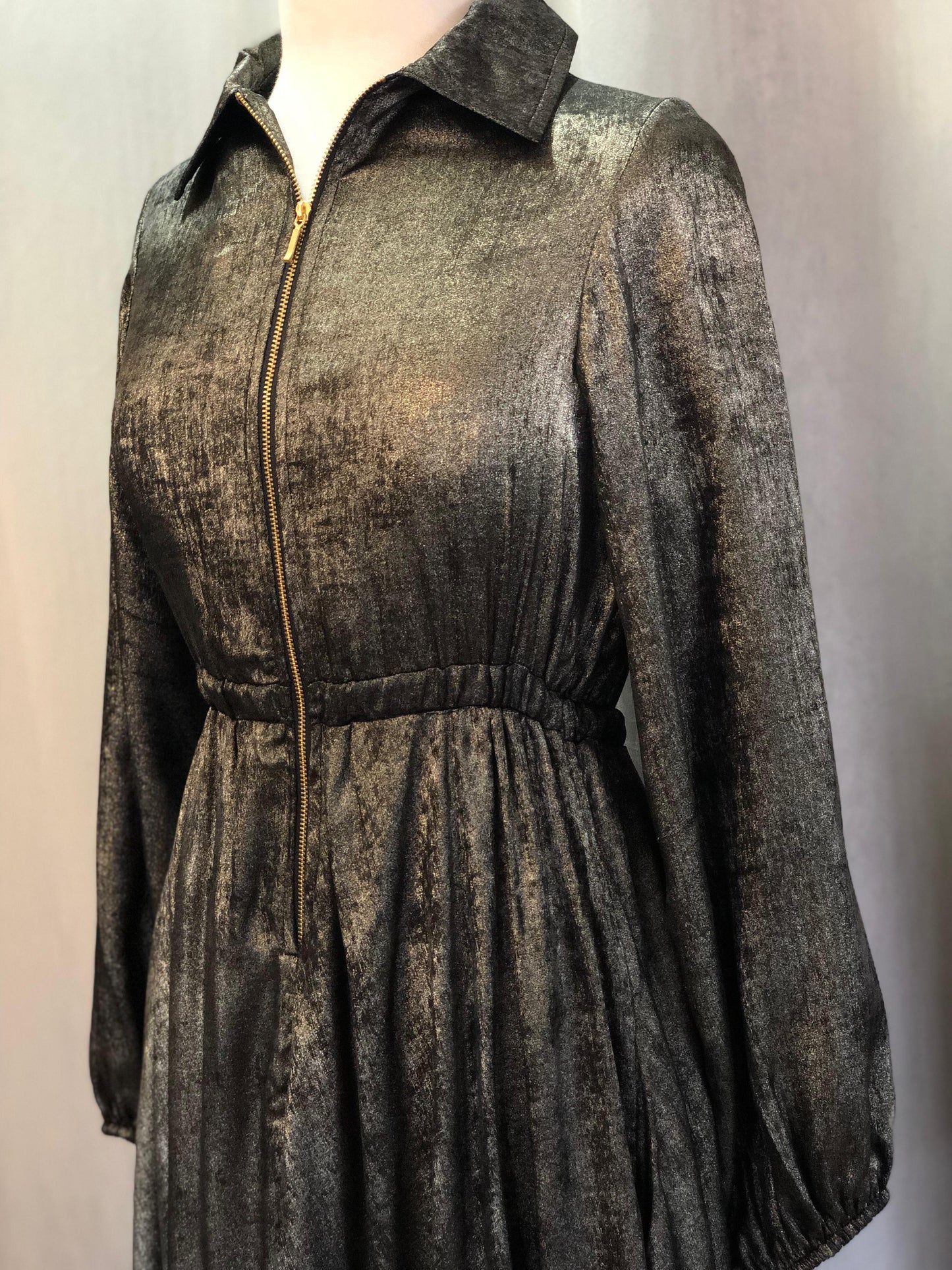 Fashion Show Metallic Maxi Dress (Size S)