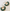 Earrings Aurora E74MOG