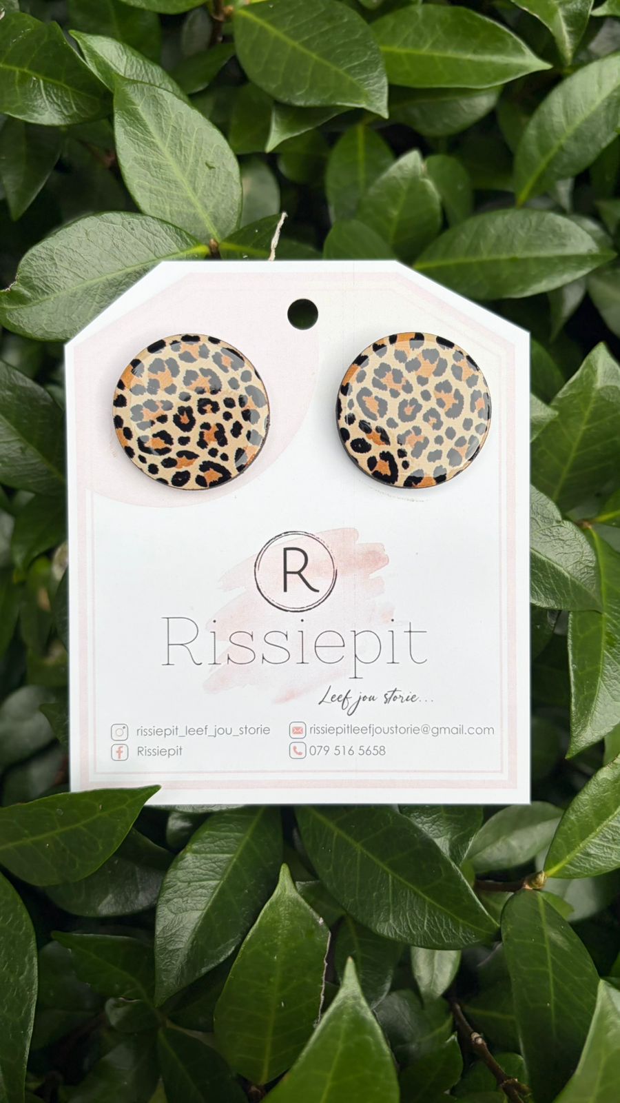 Rissiepit Leo Dot