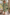 Savannah Dress Green/Orange