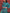 Sally Maxi Dress Jade